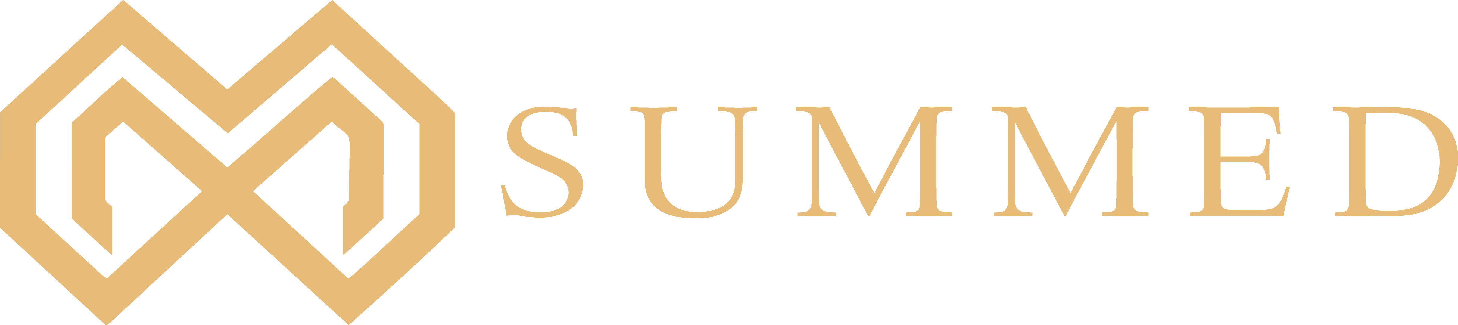 Mentoria - Renato Filho